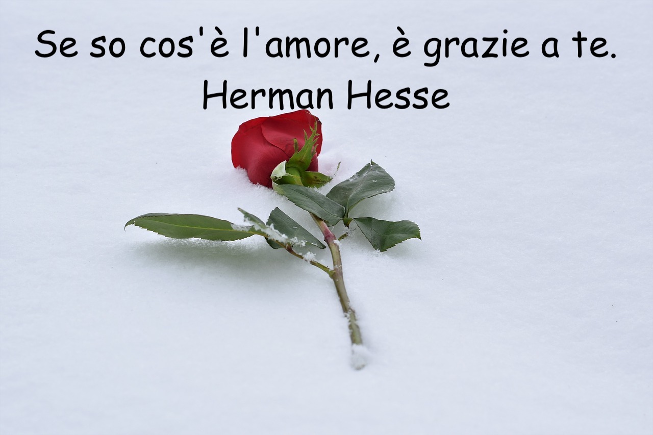 Se so cos'è l'amore, è grazie a te. Herman Hesse 